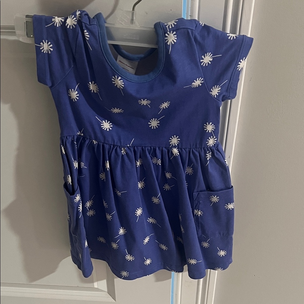 Hanna Andersson Blue Dress with White Daisy Print